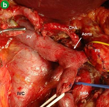 05_fig05b.jpg