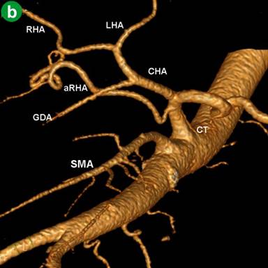 05_fig07b.jpg