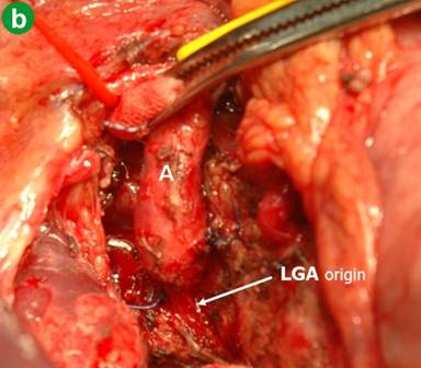 05_fig09b.jpg