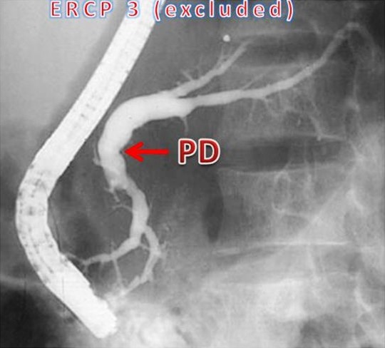 Descrizione: C:\Users\antonio.morselli\Documents\_JOP\ARCHIVIO\2010\201001\04_fig01c.jpg