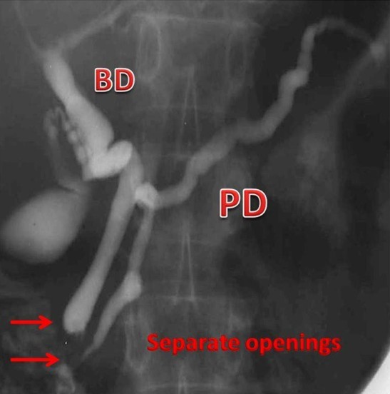 Descrizione: C:\Users\antonio.morselli\Documents\_JOP\ARCHIVIO\2010\201001\04_fig02a.jpg