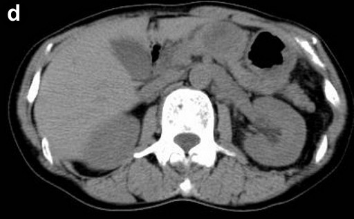 Descrizione: C:\Users\antonio.morselli\Documents\_JOP\ARCHIVIO\2010\201001\09_fig01d.jpg