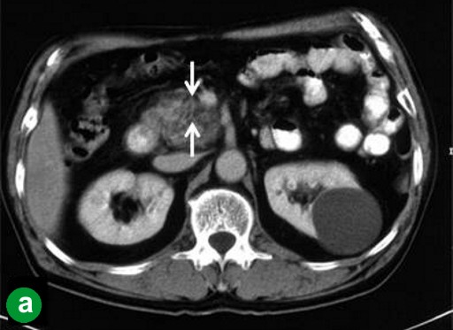 Descrizione: C:\Users\antonio.morselli\Documents\_JOP\ARCHIVIO\2010\201001\02_fig01a.jpg