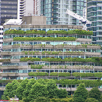 Green Roof in Vancouver BC