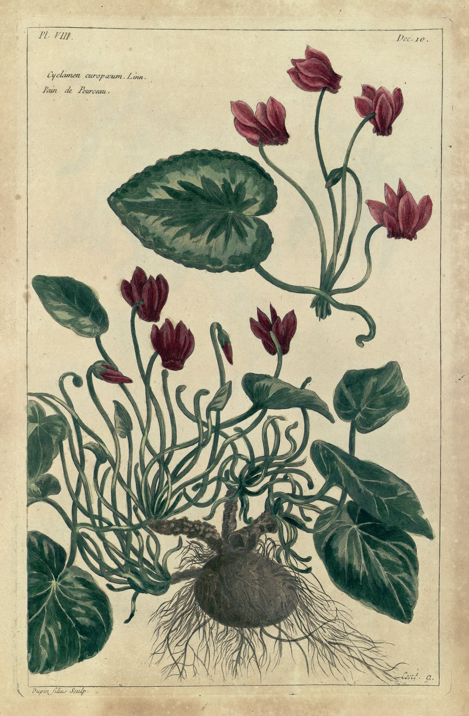 Immagine di copertina