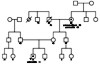 Pedigree of a Venezuelan kindred