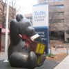 Tufts Medical Center Teddy Bear (Formerly F.A.O. Schwartz Teddy Bear). Boston, MA, USA