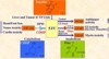 Composition and mechanism of action of S-1