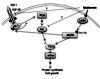 Metformin activates AMPKThr172 through the LKB1 signalling pathway