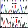 Sequence chromatograms