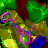Proteasome inhibitor bortezomib bound to an assembled yeast proteasome core (PDB ID 2F16).