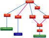 Metformin effect in cellular pathways involved in pancreatic cancer