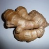 Fresh ginger rhizome