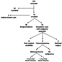 Pancreatic cysts: flow chart