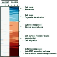 Heat map of proteins statistically significant in the HPNE cell line