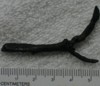 Biliary cast successfully removed in a single piece using choledochoscope