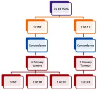 KRAS mutation and concordance rates with primary tumor