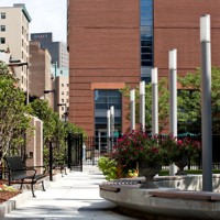 Green space by the Jaharis Center and Tufts Medical Center. Boston, MA, USA