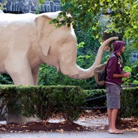 Tufts University Medford campus (Alonso Nichols / Tuft University Photo)