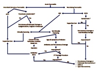 Suggested algorithm for the management of acute pancreatitis.