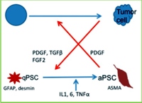 Factors responsible for the activation of pancreatic stellate cells