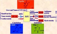 S-1: an oral fluoropyrimidine