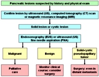 Proposed algorithm for evaluation of suspected pancreatic lesion