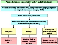 Proposed algorithm for evaluation of suspected pancreatic lesion