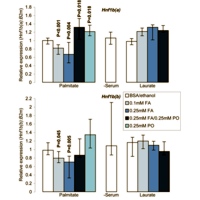 Hnf1b expression is downregulated in response to cytotoxic fatty acid