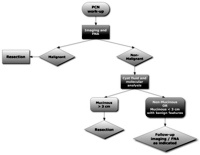 Proposed management algorithm for pancreatic cystic neoplasms