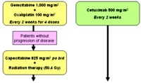 Induction chemotherapy followed by chemoradiotherapy for LAPC: treatment schema from Crane CH et al., 2010