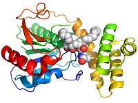 Orlistat