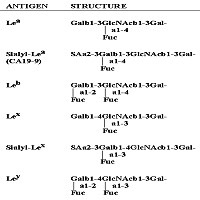 Blood group related antigens