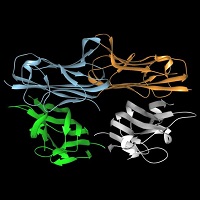 Structural formula of Tumor necrosis factor-alpha