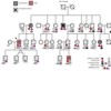 J family pedigree and genotyping/smoking data.