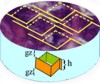 Optical scan for estimation of the number of the beta cells