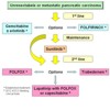 Therapeutic strategies in unresectable or metastatic pancreatic carcinoma