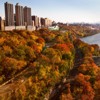 Bard Haven Towers, Columbia University Medical Center. New York City, NY, USA (Autumn time)