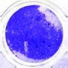 Detail of multiwell plate containing PANC-1 cells stained with crystal violet showing Newcastle disease virus Ulster strain (NDV-U) 0.16 PFU
