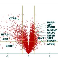 Volcano plots of quantified, differentially expressed proteins in PanC1 cell lines